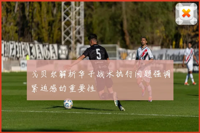 戈贝尔解析华子战术执行问题强调紧迫感的重要性